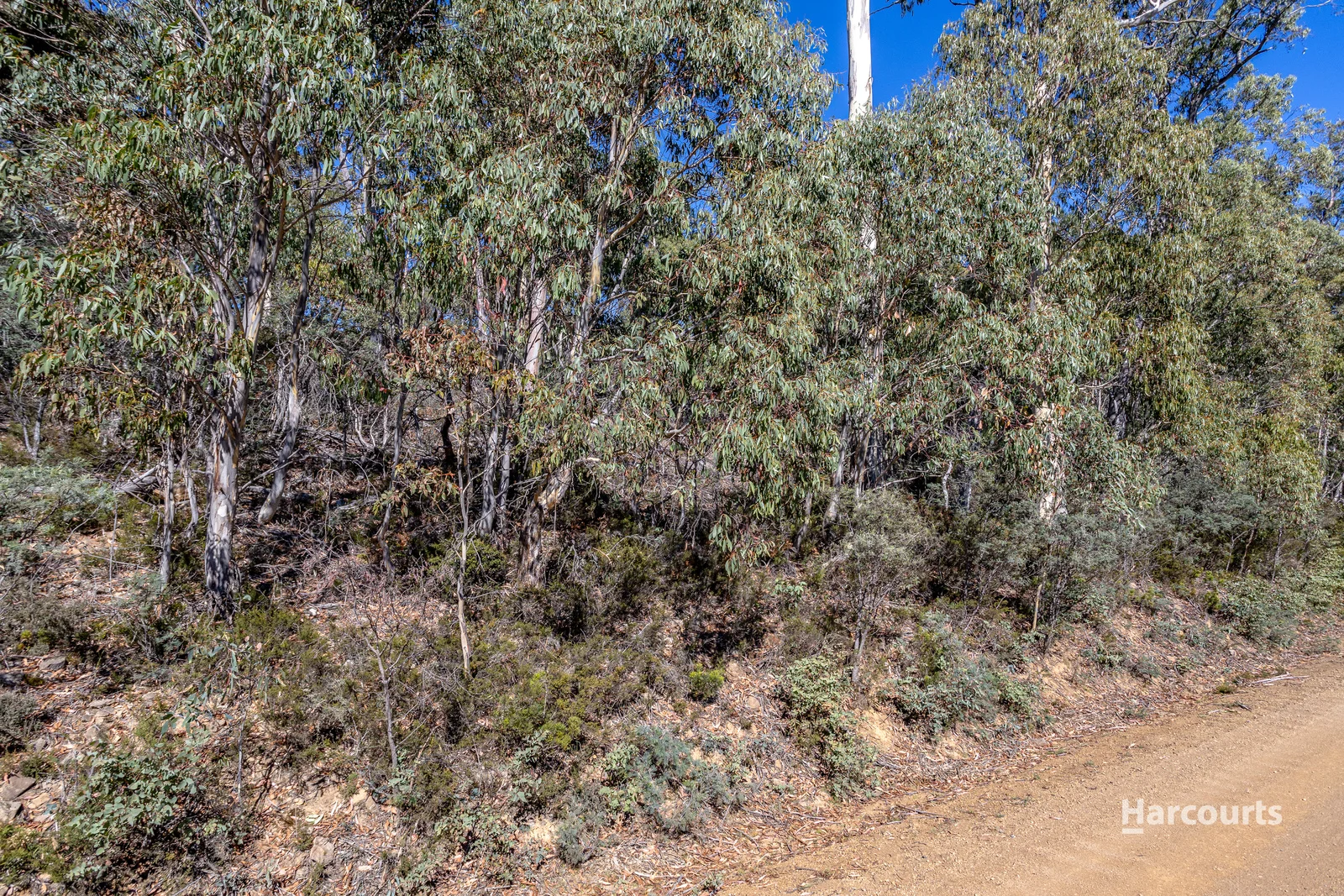 Additional image 7 of 25 Wigrams Way, London Lakes TAS 7140