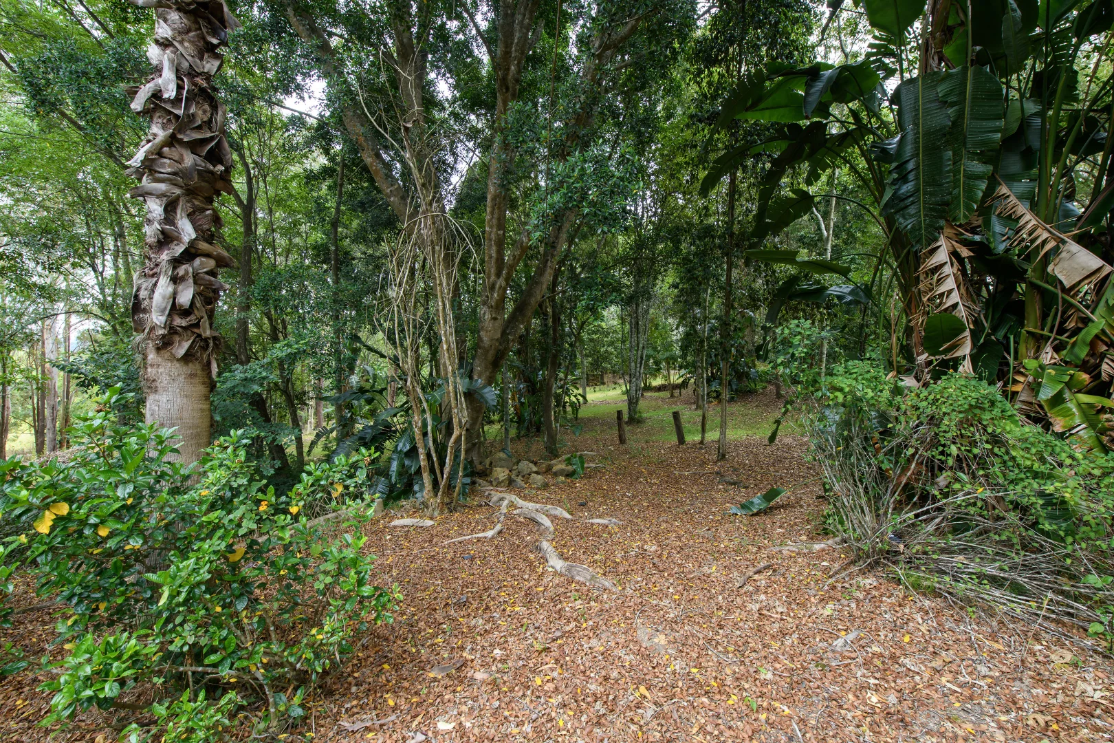 Additional image 25 of 1078 Comboyne Road, Byabarra NSW 2446