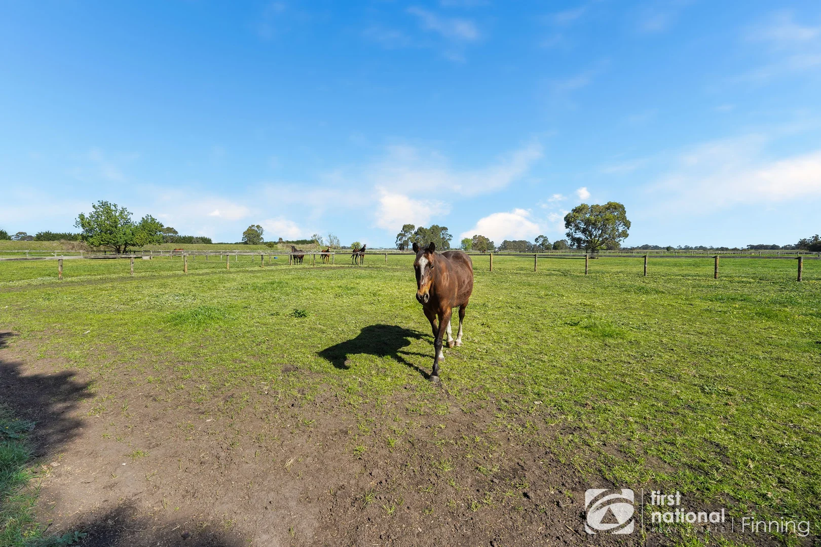 Additional image 28 of 165 Scanlons Drain Road, Bayles VIC 3981