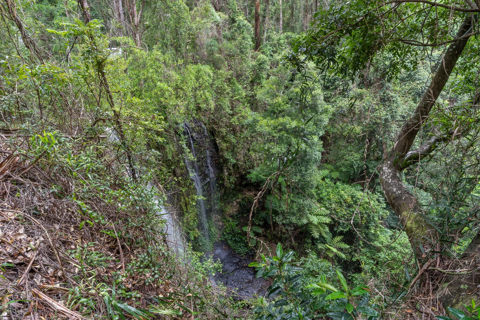 Additional image 11 of 76 Maso Road, Repentance Creek NSW 2480