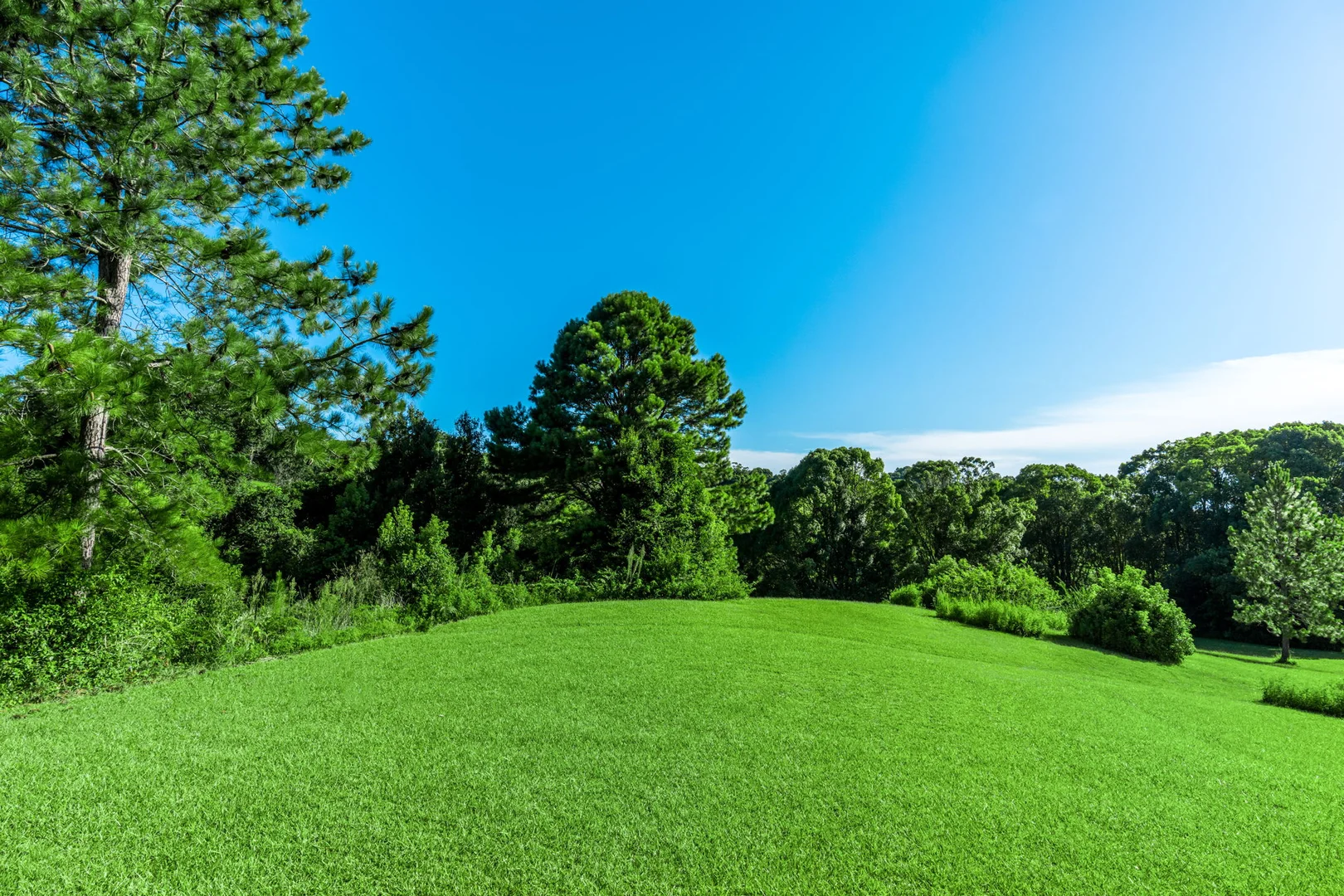 Additional image 33 of 111 Fowlers Lane, Bangalow NSW 2479