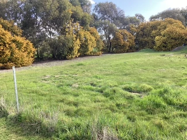 Additional image 39 of 226 Wilsons Road, Haddon VIC 3351