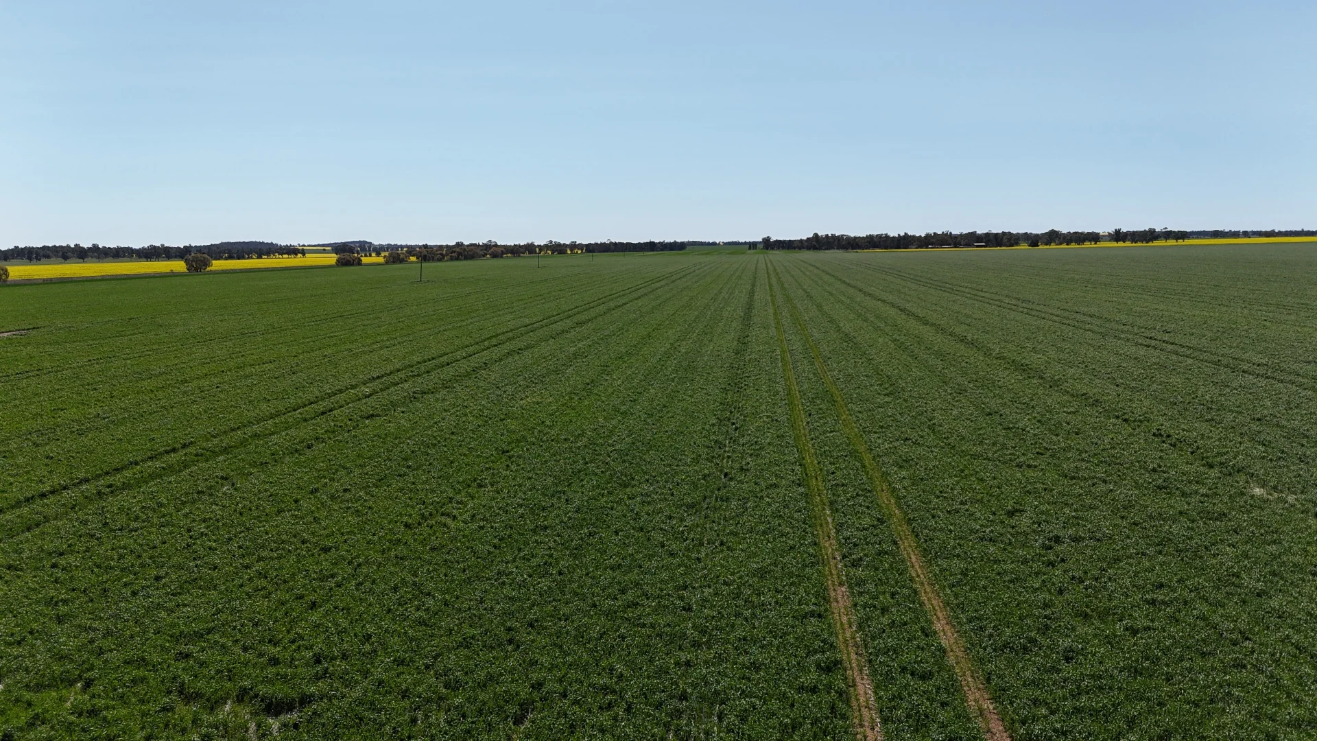 Additional image 9 of 2459 The Bogan Way, Parkes NSW 2870