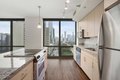 1255 S Michigan Ave Unit 1-1, Chicago, IL, 60605