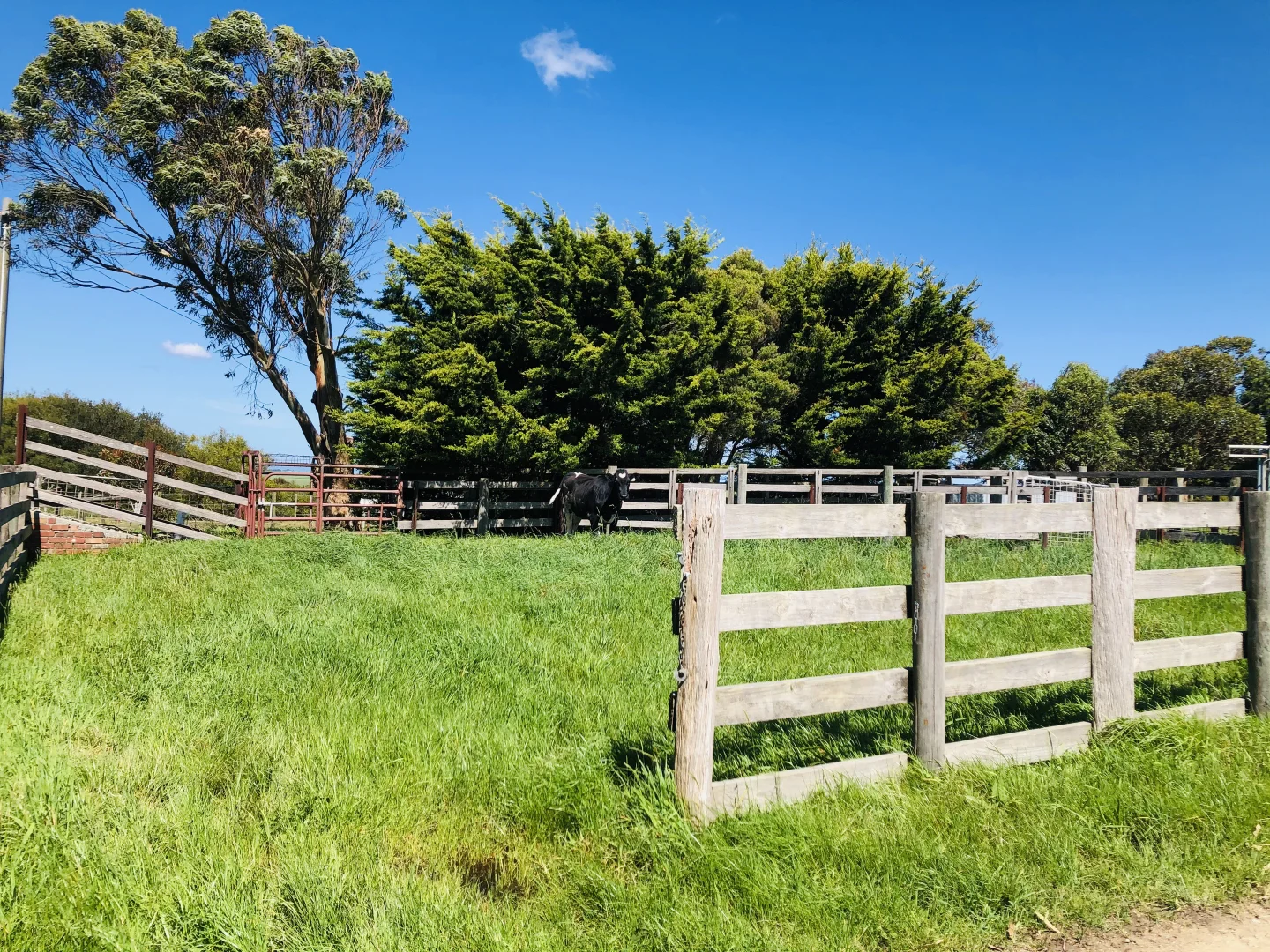 Additional image 7 of 2988 Meeniyan-Prom Rd, Yanakie VIC 3960