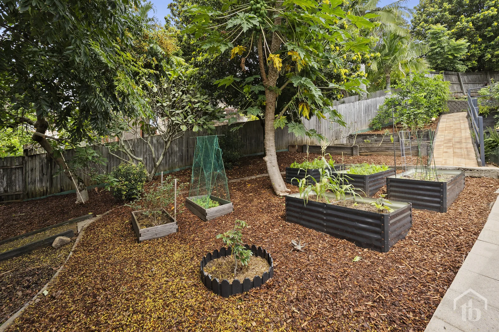 Additional image 18 of 46 Tralee Drive, Banora Point NSW 2486