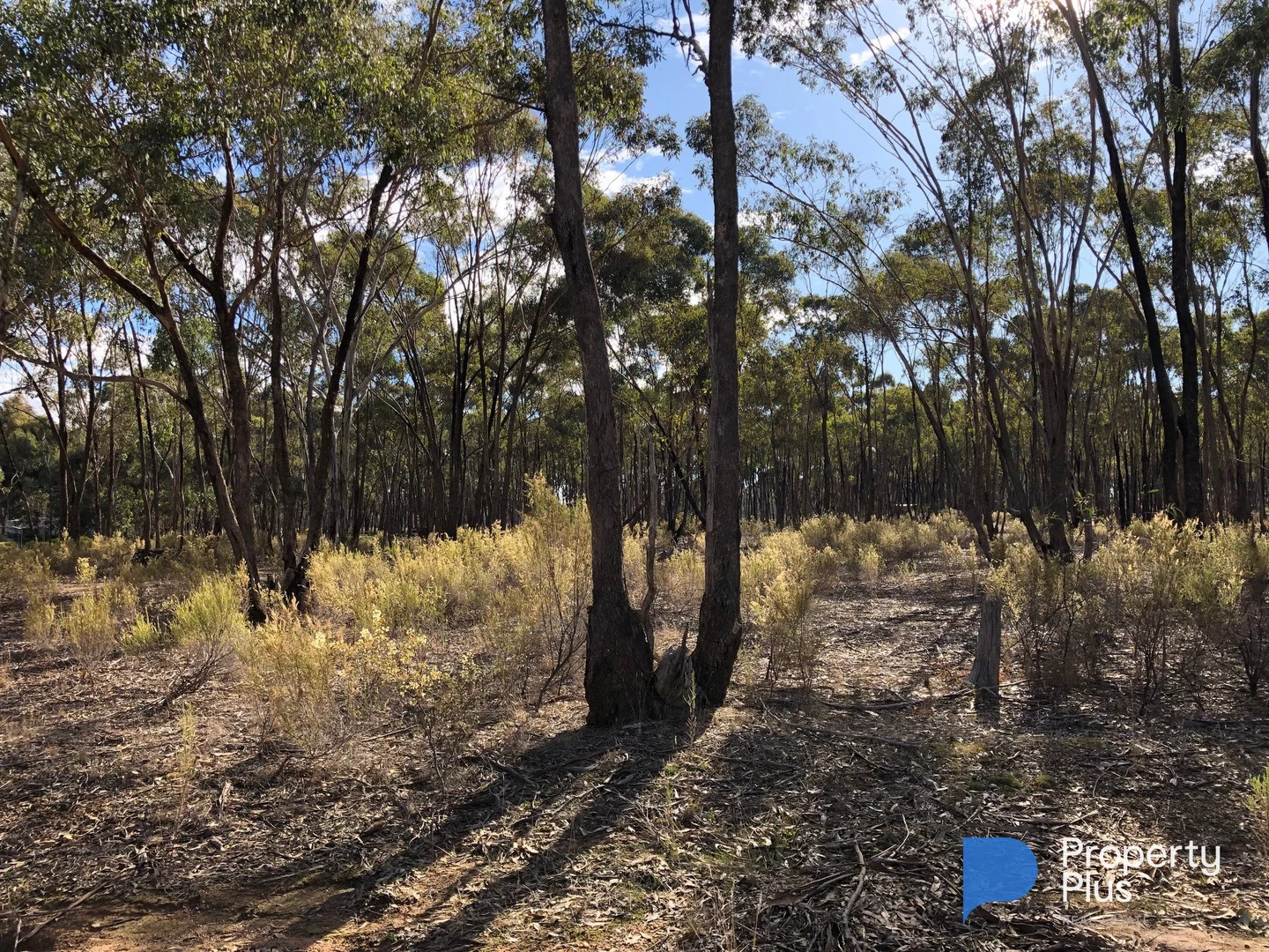 Additional image 8 of 59 Palmer Road, Simson VIC 3465