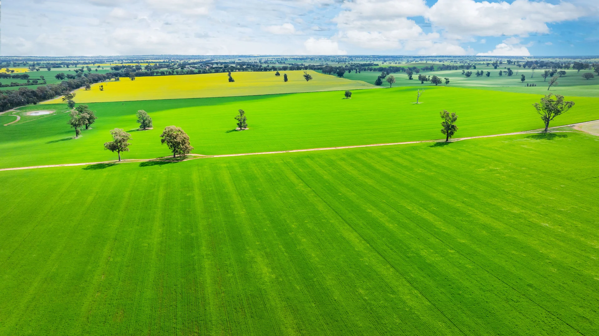 Additional image 2 of 1516 Osborne Pleasant HIlls Road, Pleasant Hills NSW 2658