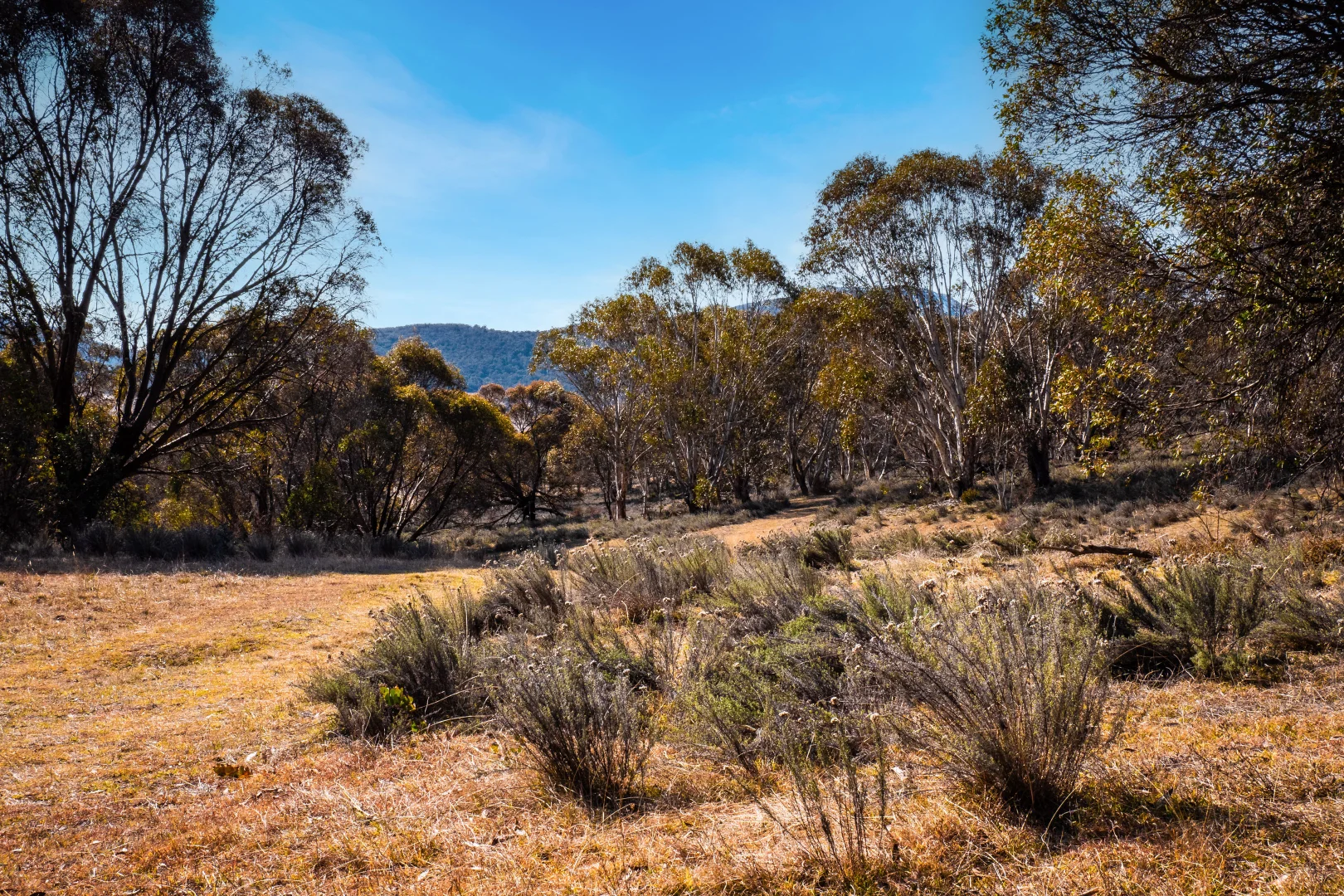 Additional image 12 of 42 Outpost Road, Yaouk NSW 2629