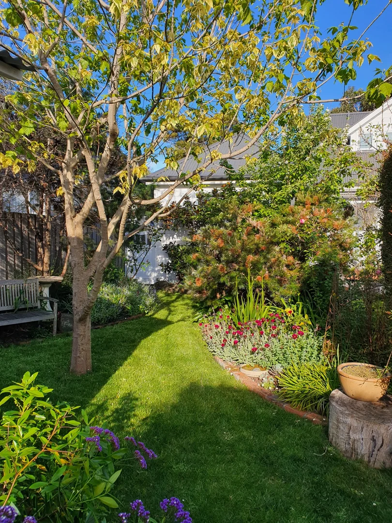 Additional image 27 of 121 Scamander Avenue, Scamander TAS 7215