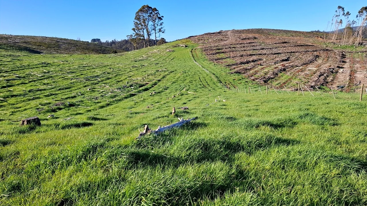 Additional image 19 of 108 Weeks Road, Barrington TAS 7306