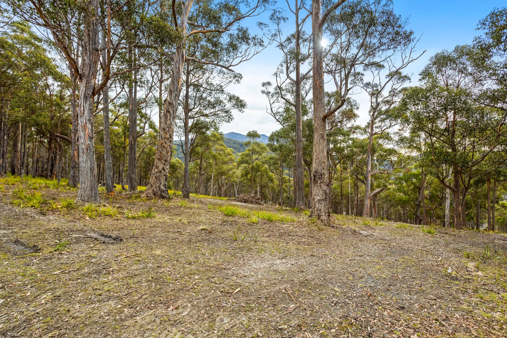 Additional image 9 of 90 Hackford Drive, Kingston TAS 7050