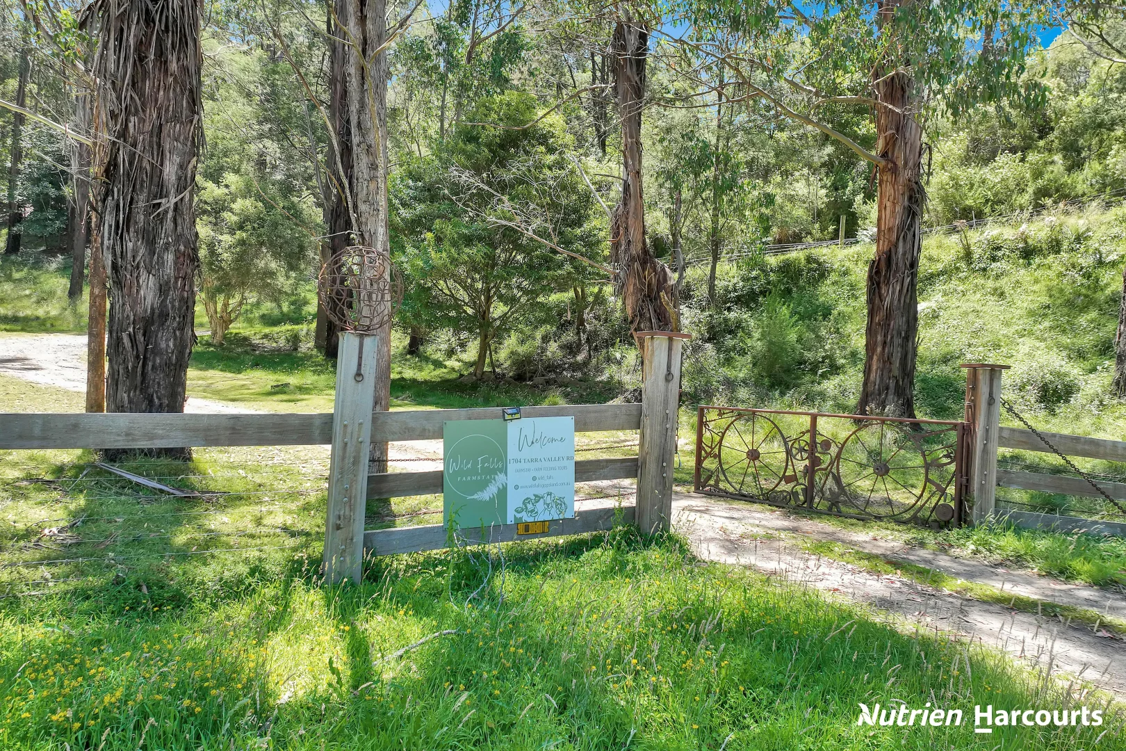 Additional image 21 of 1704 Tarra Valley Road, Tarra Valley VIC 3971