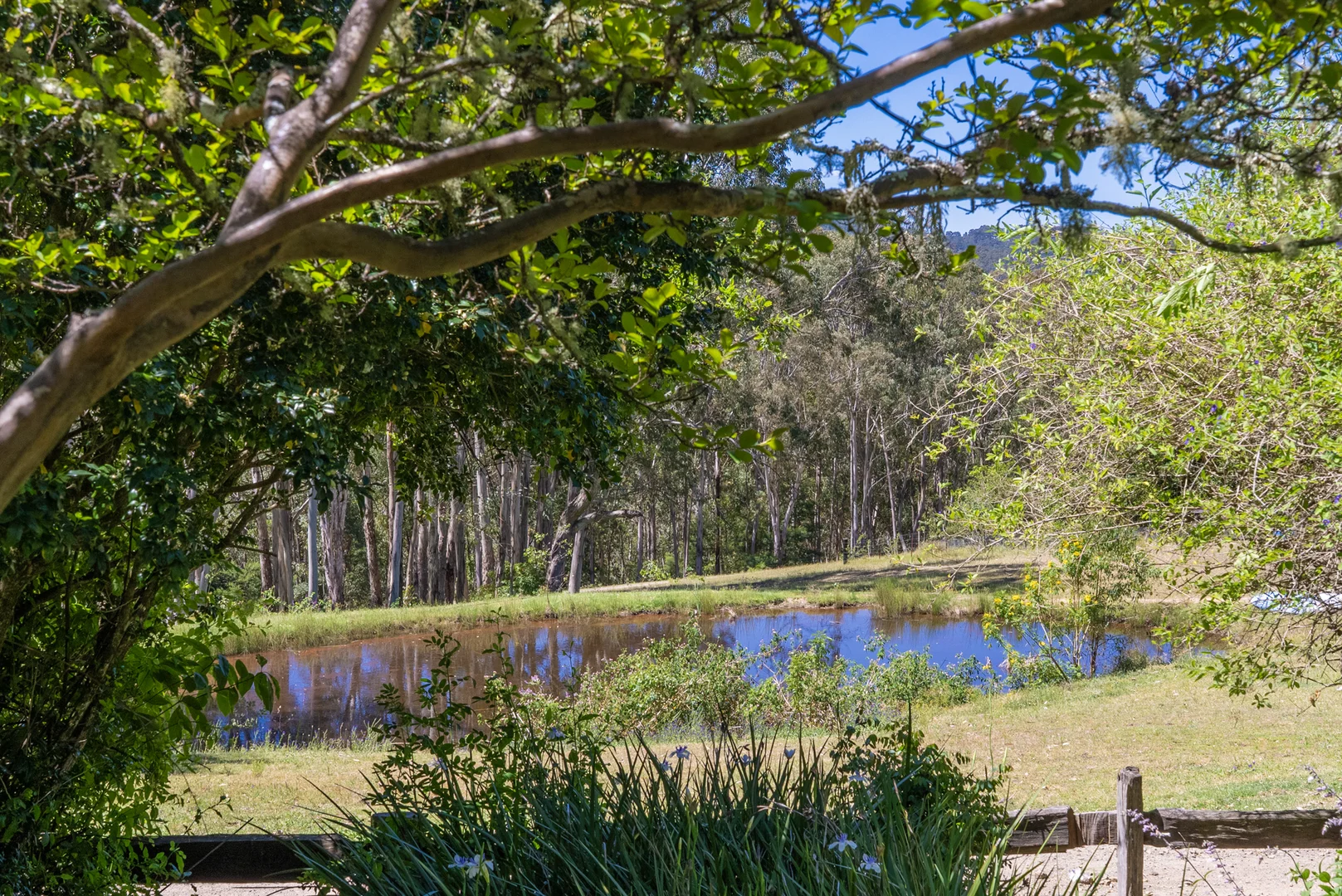 Additional image 5 of 123 Parishs Road, Hilldale via, Dungog NSW 2420