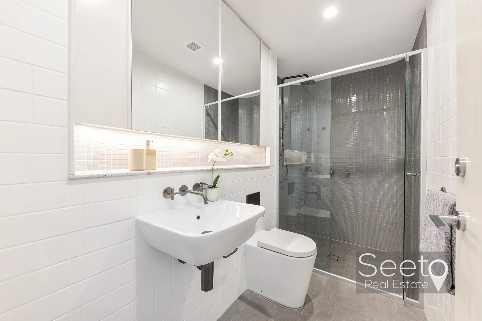 Additional image 15 of 50 Telopea Avenue, Homebush West NSW 2140