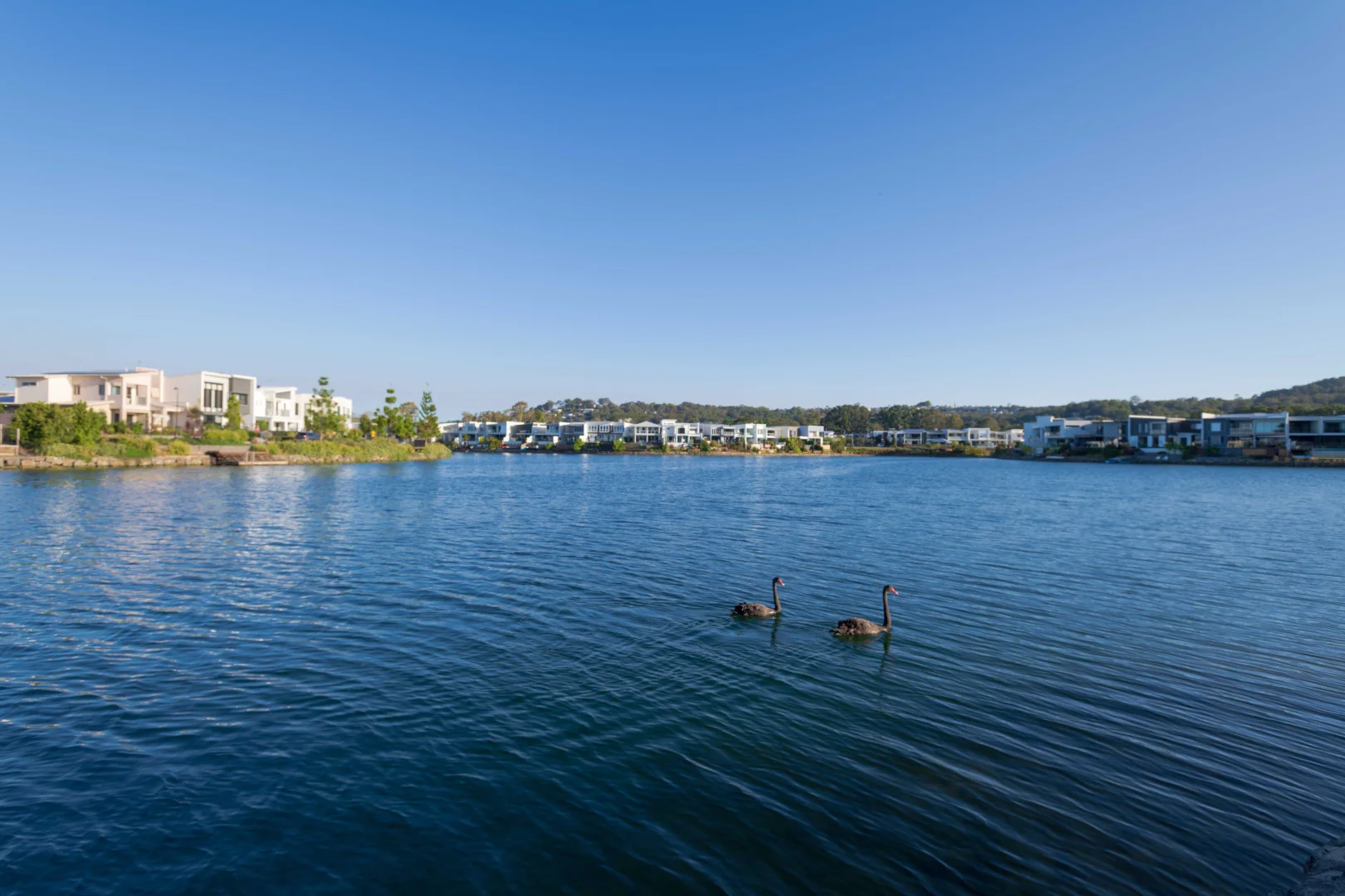 Additional image 4 of 18 Discovery Place, Maroochydore QLD 4558