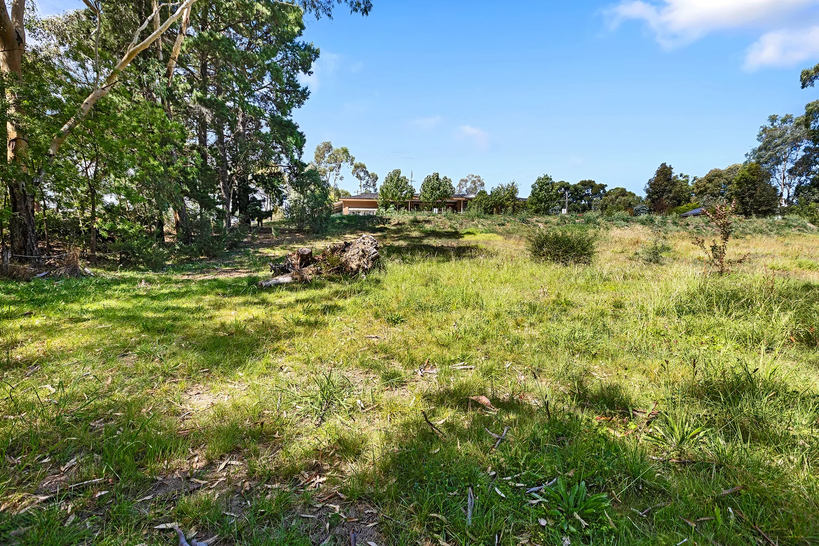 Additional image 17 of Lot 1, 6 & 7 / 2-6 McInnes Street, Big Hill VIC 3555