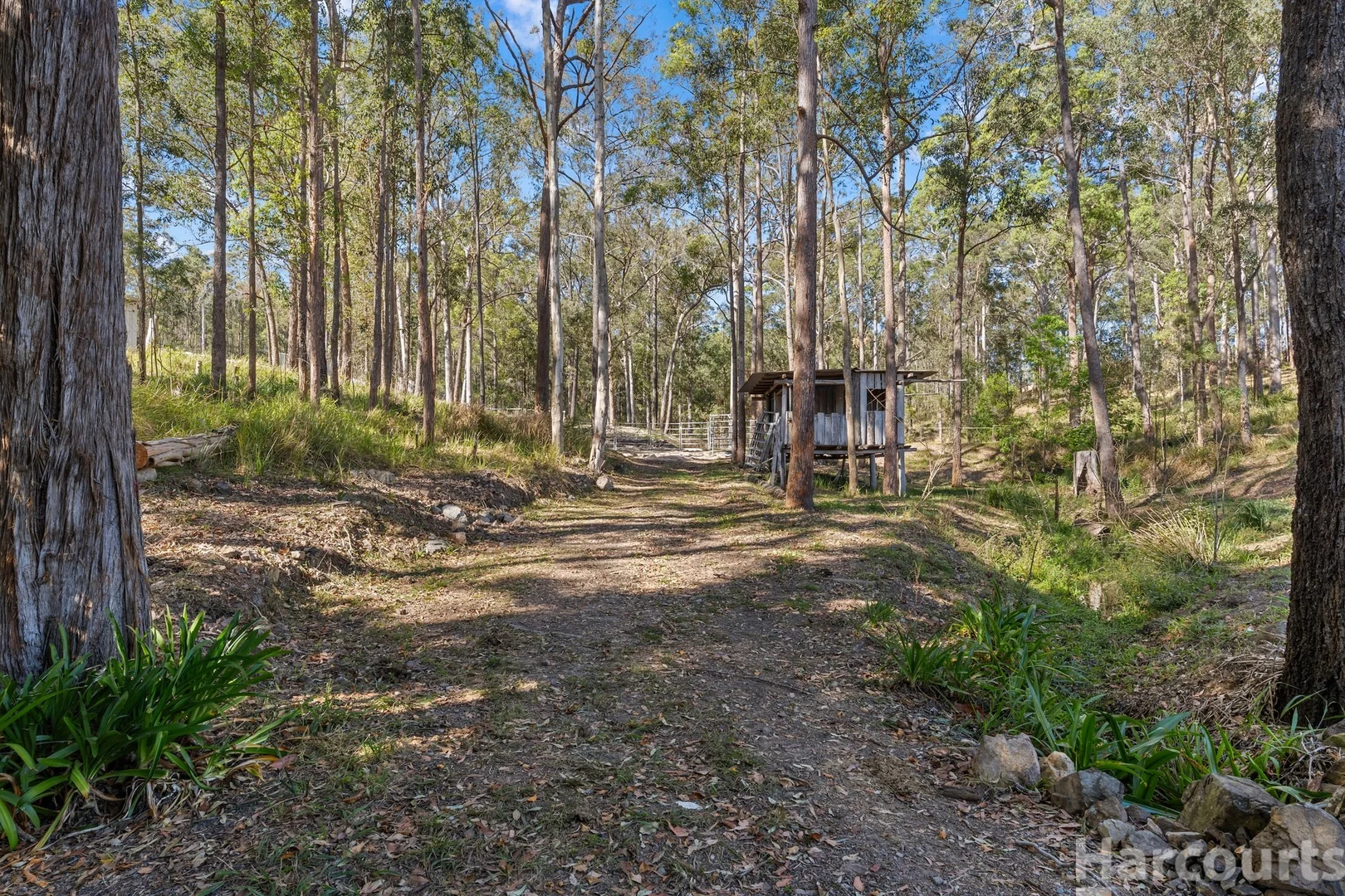 Additional image 23 of 47 Yallaroi Road, Rosewood NSW 2446