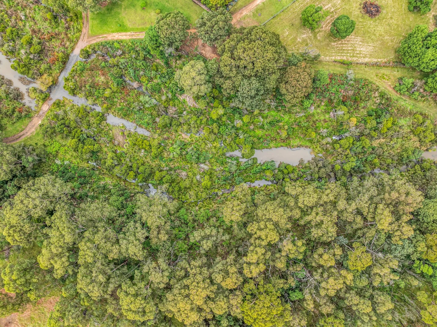 Additional image 27 of Lot 2&3 New Buildings Road, Wyndham NSW 2550