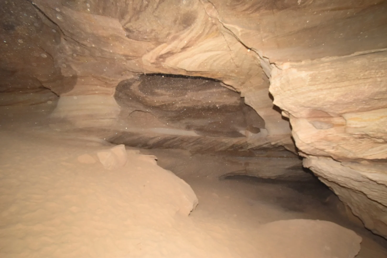 Additional image 89 of 1124 WARKTON ROAD, Coonabarabran NSW 2357