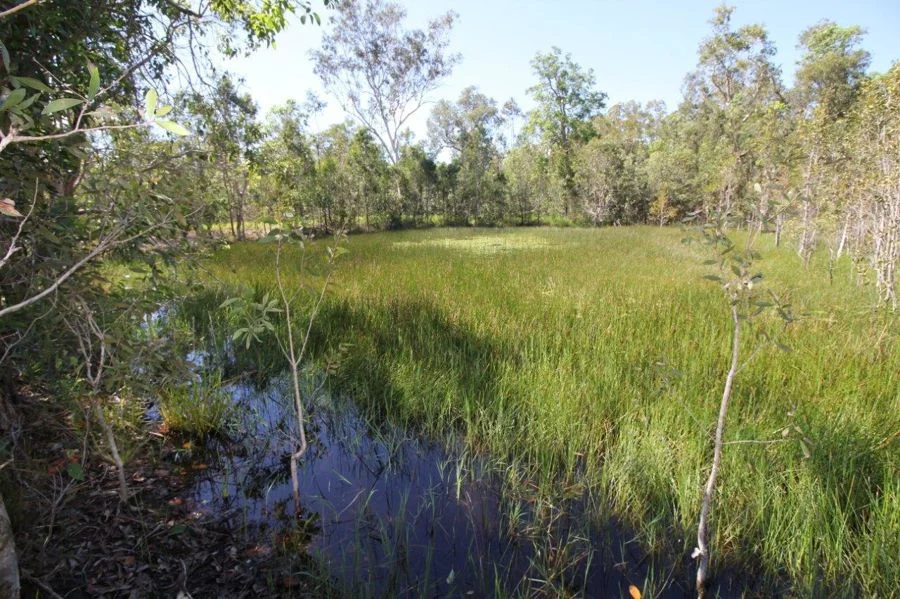 Additional image 26 of 780 Capricornia Drive, Deepwater QLD 4674