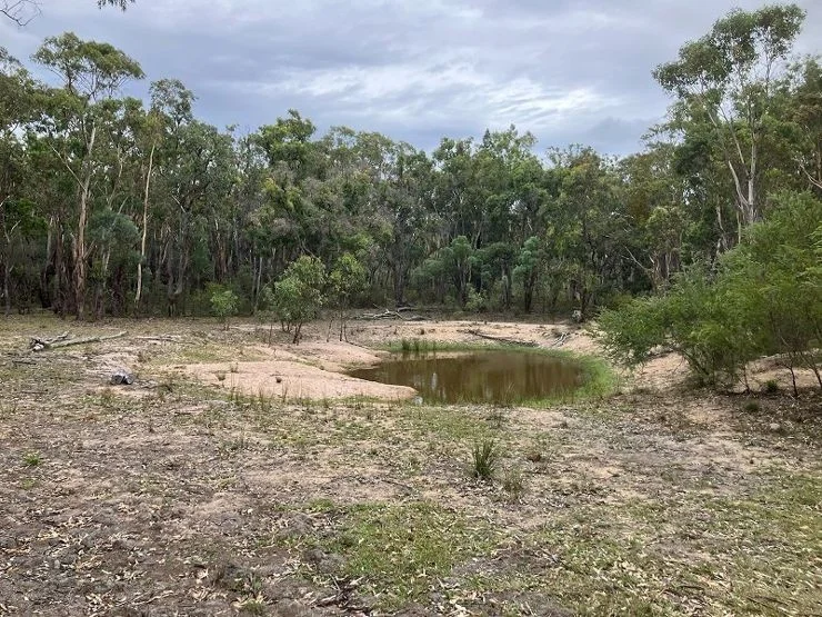 Additional image 9 of Lot 42 Ravensmoor Road, Stanthorpe QLD 4380