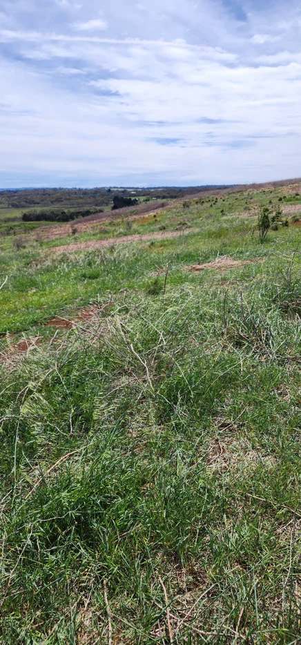 Additional image 7 of Lot 2, 175 Pomeroy Mill Ford Rd, Mummel NSW 2580