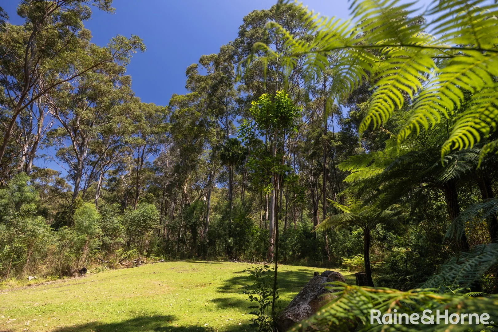 Additional image 40 of 111B Termeil School Road, Termeil NSW 2539