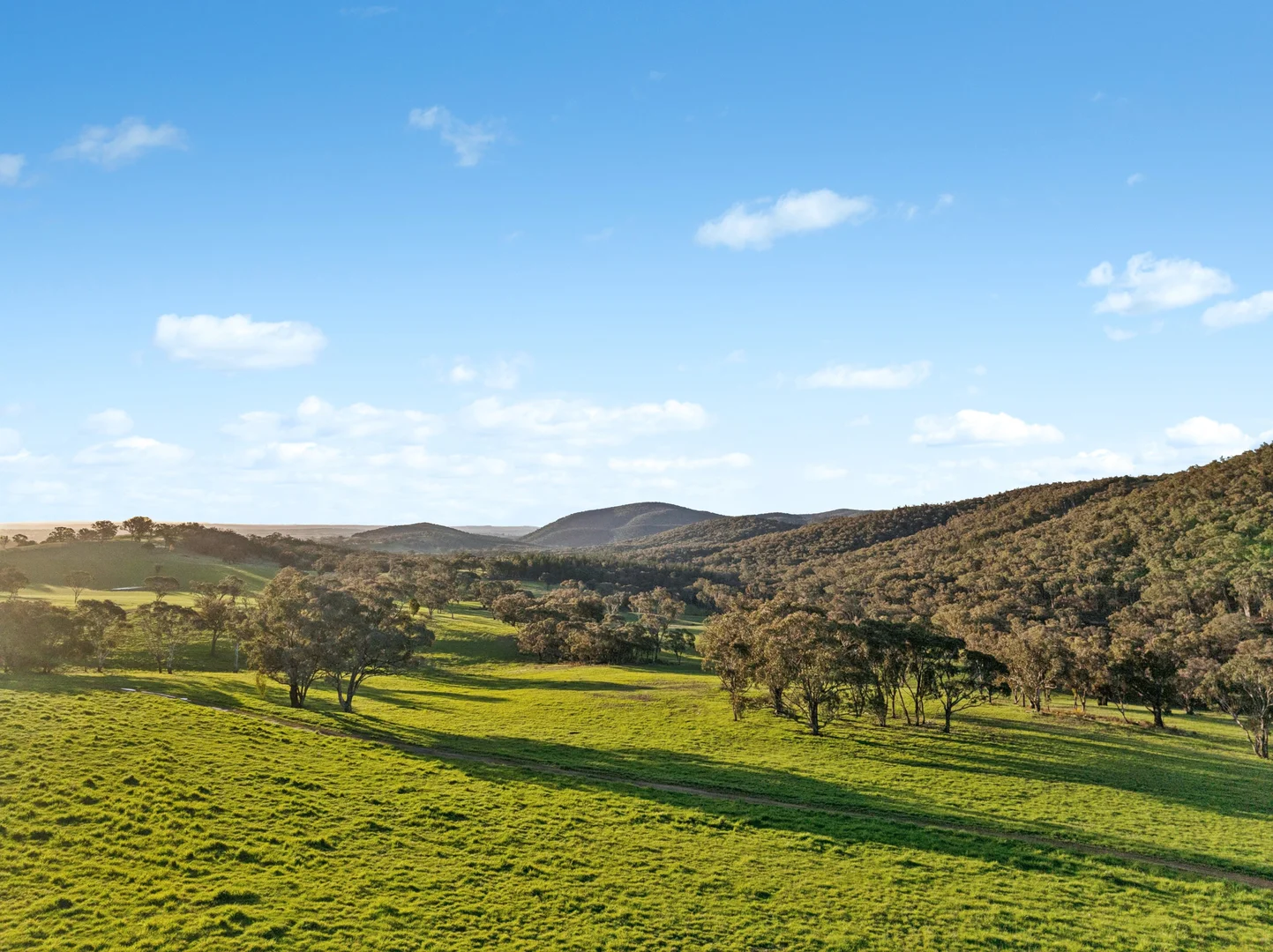 Additional image 19 of 318 Belgravia Road, Orange NSW 2800