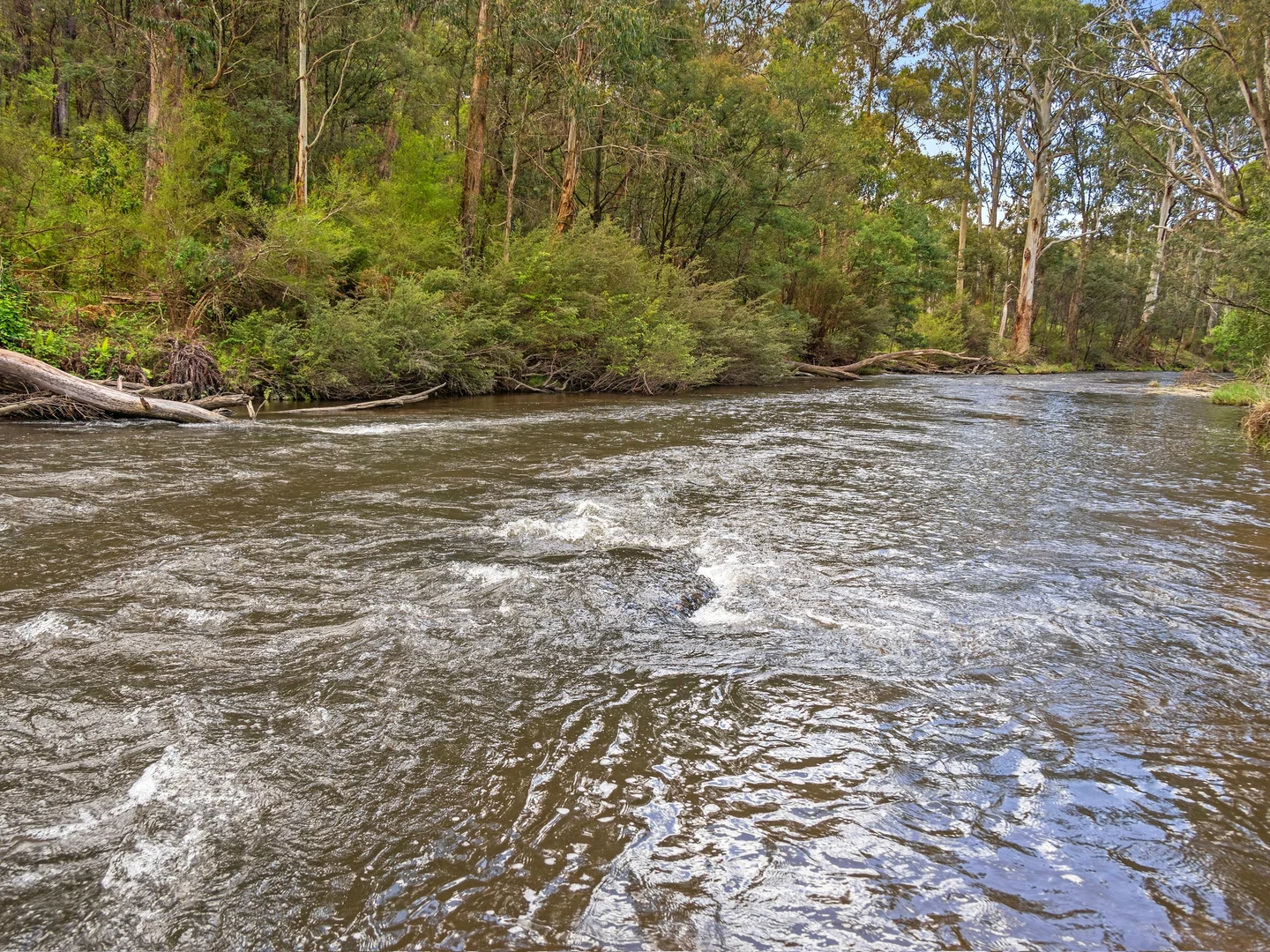 Additional image 4 of 2339 Maroondah Highway, Buxton VIC 3711