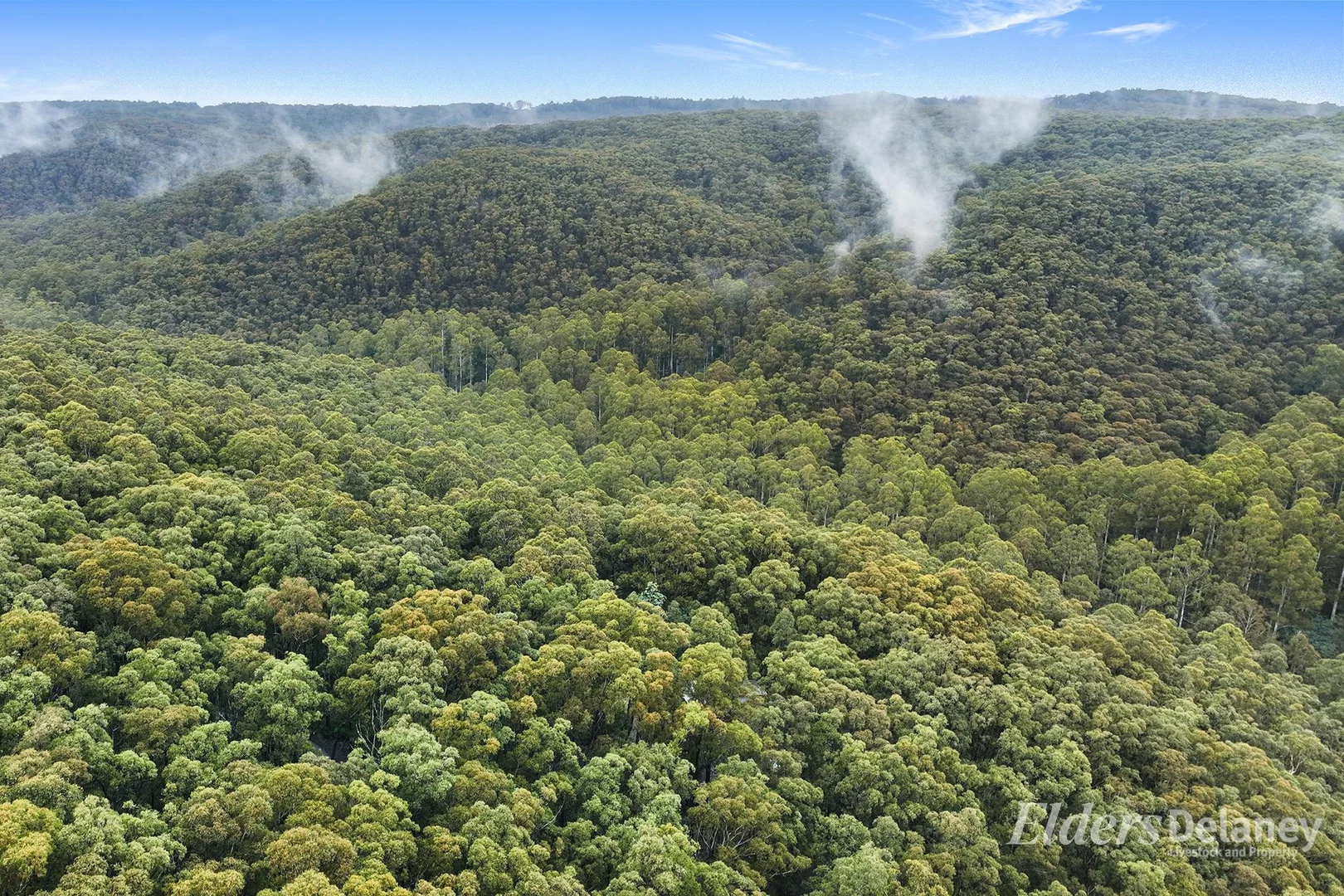 Additional image 16 of 134 Duggan North Road, Fumina VIC 3825