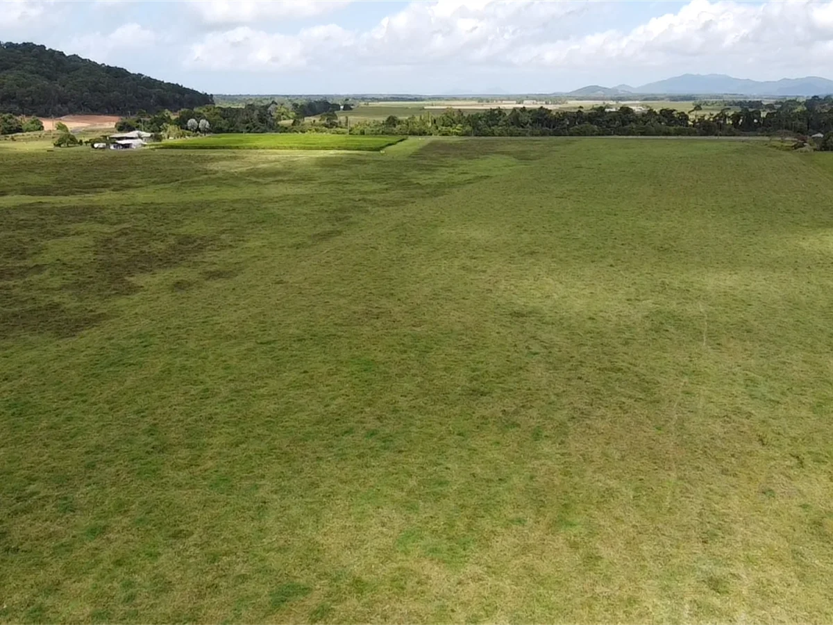 Additional image 13 of 000 Gangemi Road, Cowley QLD 4871