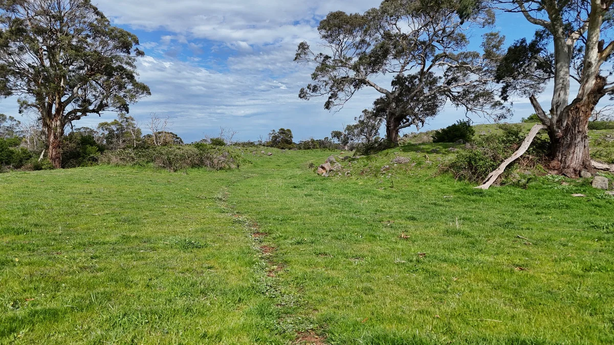 Additional image 5 of 250 Scoullers Road, Stonyford VIC 3260