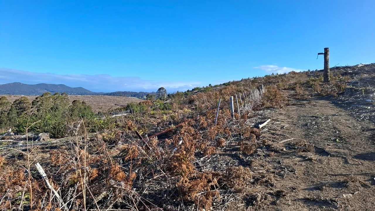 Additional image 23 of 108 Weeks Road, Barrington TAS 7306