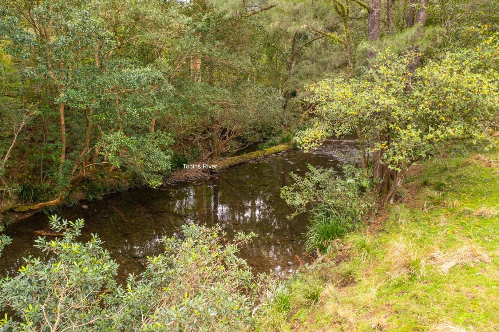 Lot 24 209 Tobins River Road, Mount Seaview NSW 2446