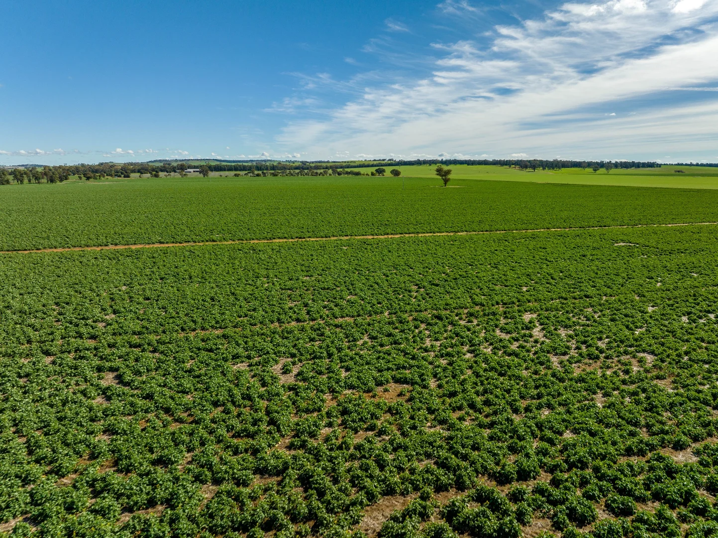 Additional image 21 of 2214 Coolamon Road, Coolamon NSW 2701
