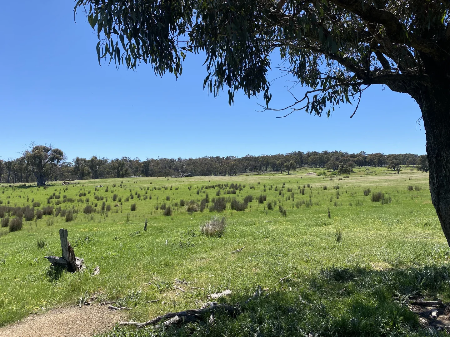 Additional image 16 of 1709 Bigga Road, Bigga NSW 2583