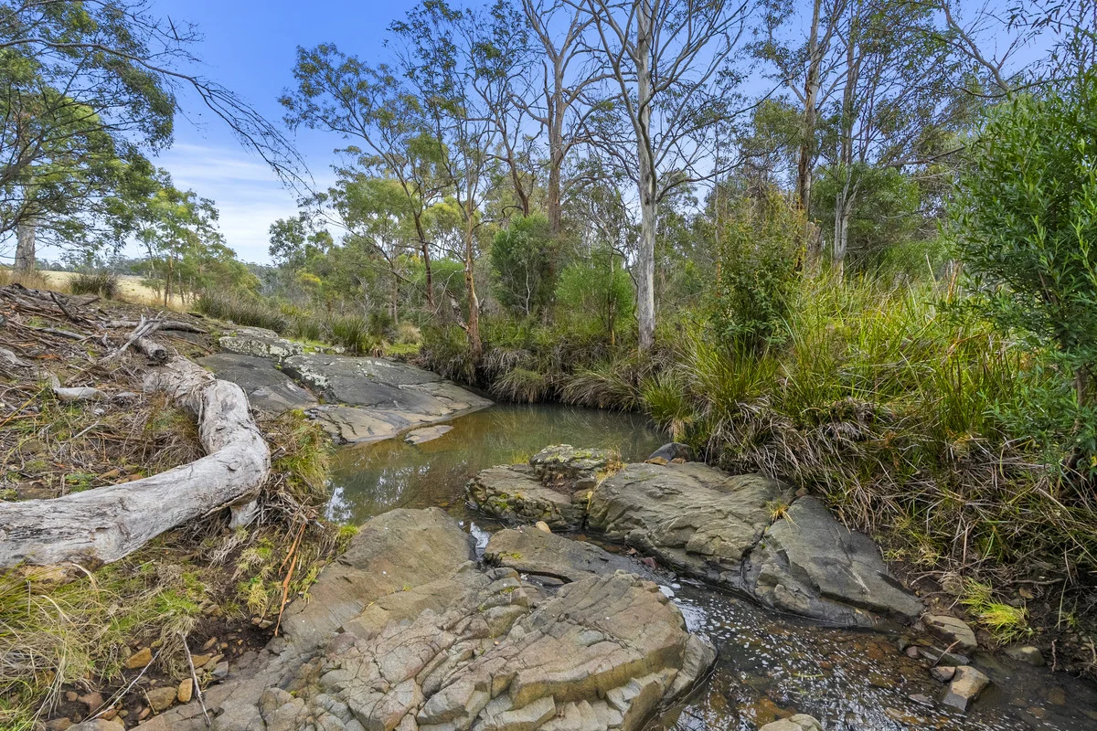 Additional image 28 of 1 & 2 Bresnehans Road, Little Swanport TAS 7190