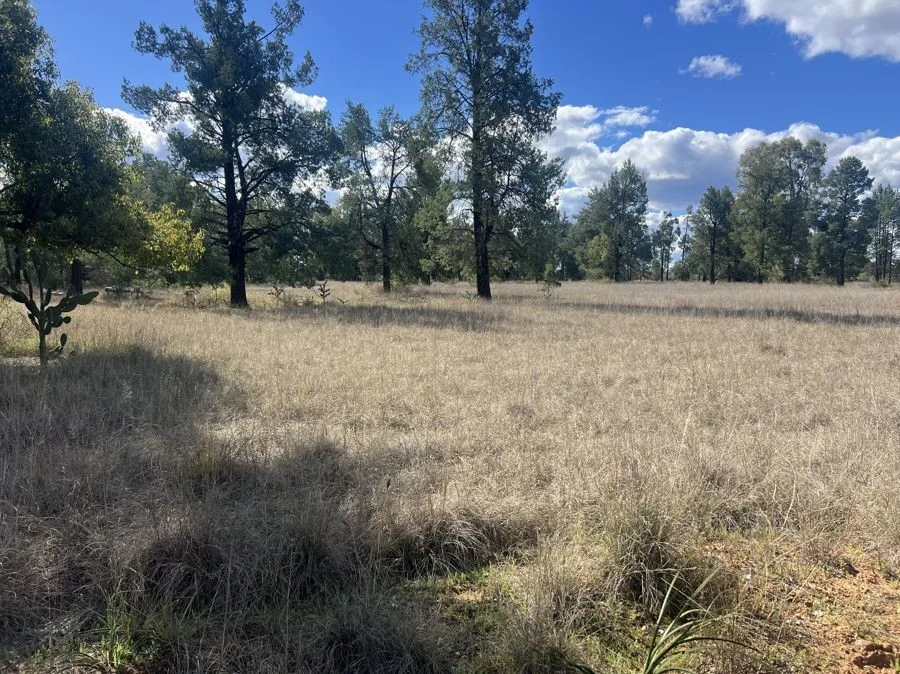 Additional image 2 of Part 127 Creek Road, Baradine NSW 2396