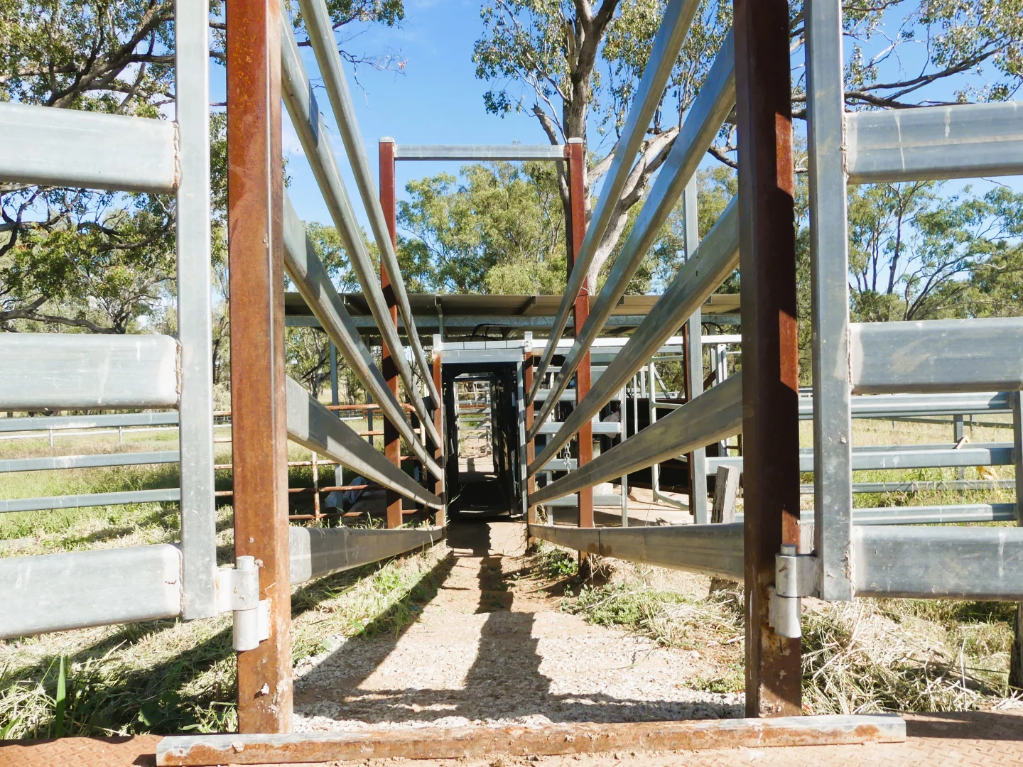 Additional image 27 of 'Glencoe' 28547 Carnarvon Highway, Roma QLD 4455