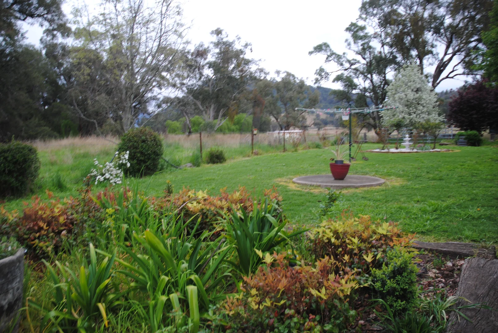 Additional image 55 of 1124 WARKTON ROAD, Coonabarabran NSW 2357