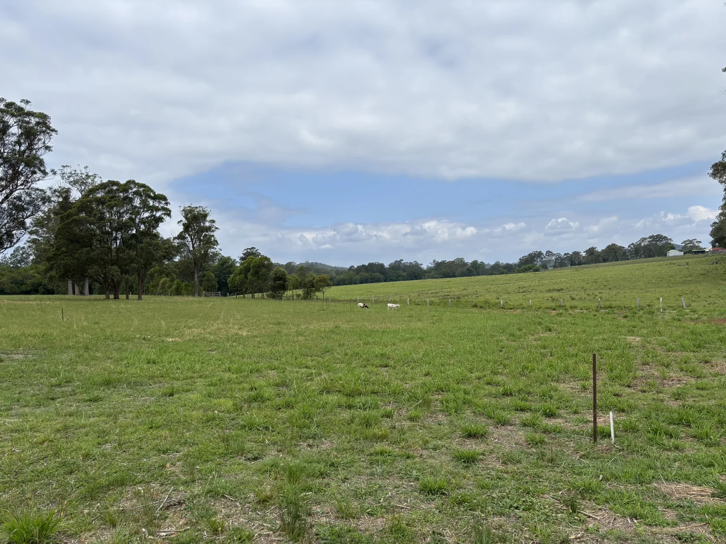 Additional image 4 of 119 Briton Court Road, Stroud NSW 2425