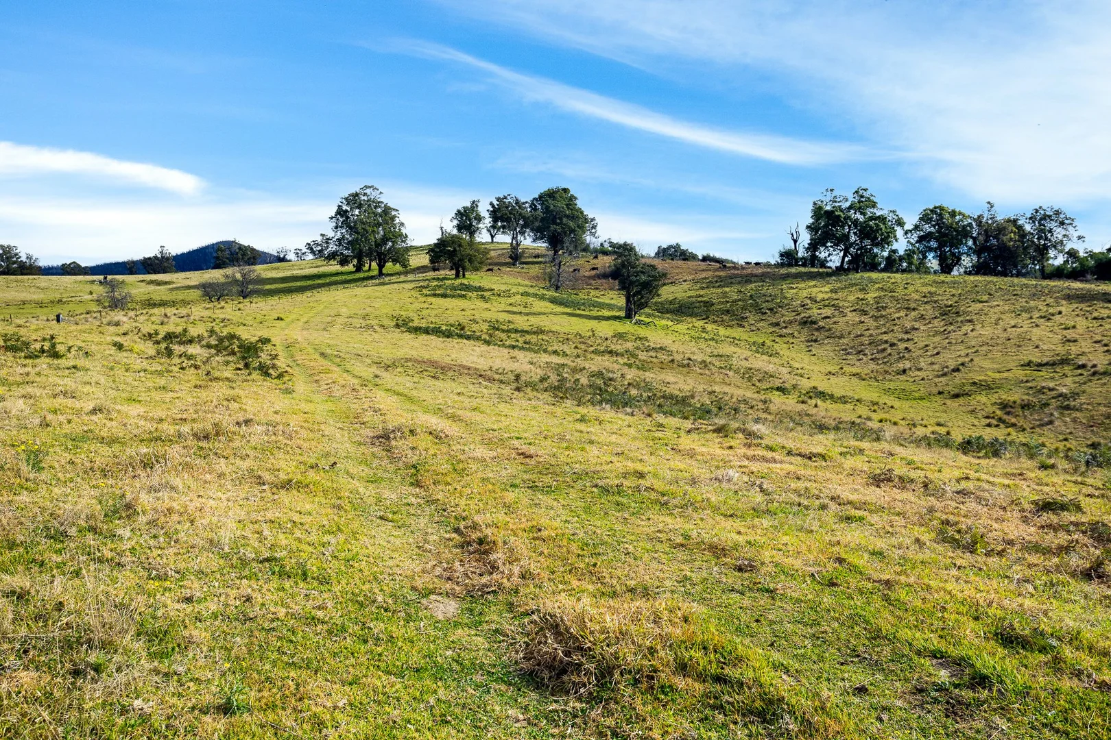 Additional image 4 of Lot 63 Watts Road, Cobargo NSW 2550