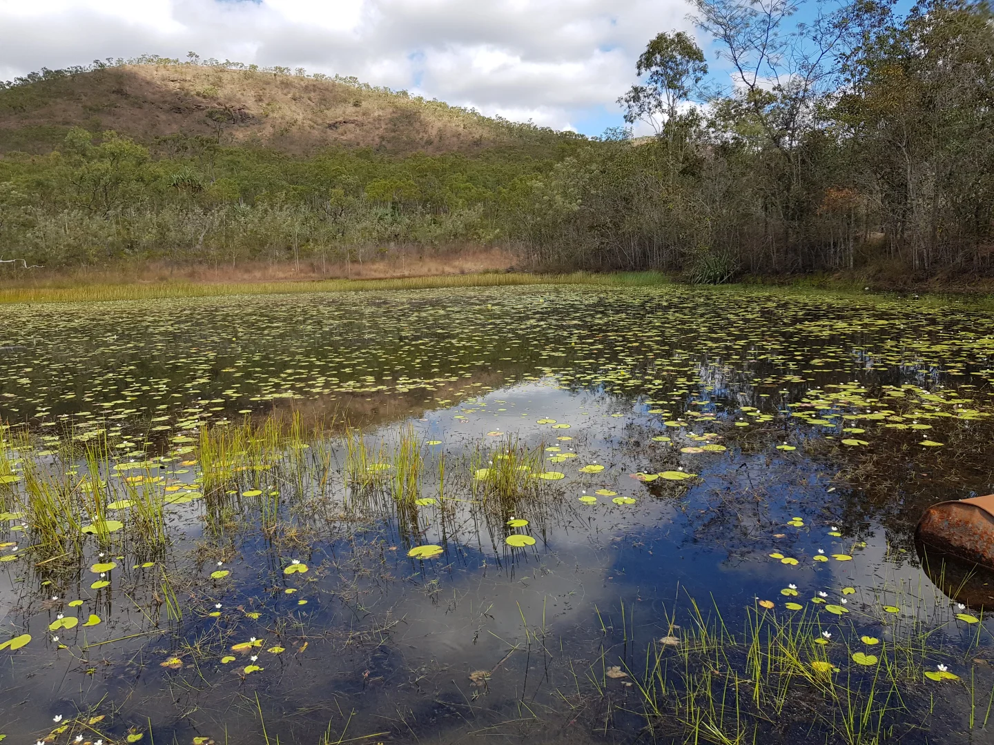 Additional image 4 of Lot 481 Sandy Creek Road, Dimbulah QLD 4872