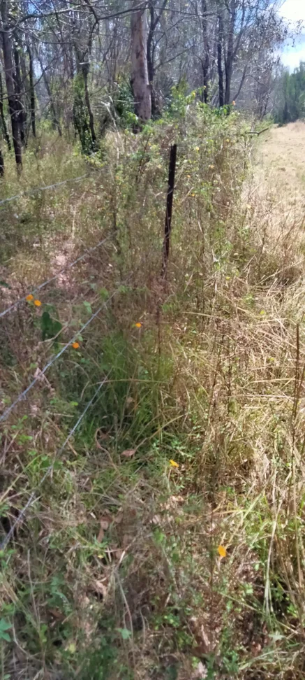 Additional image 40 of 3359 Lowmead Road, Lowmead QLD 4676