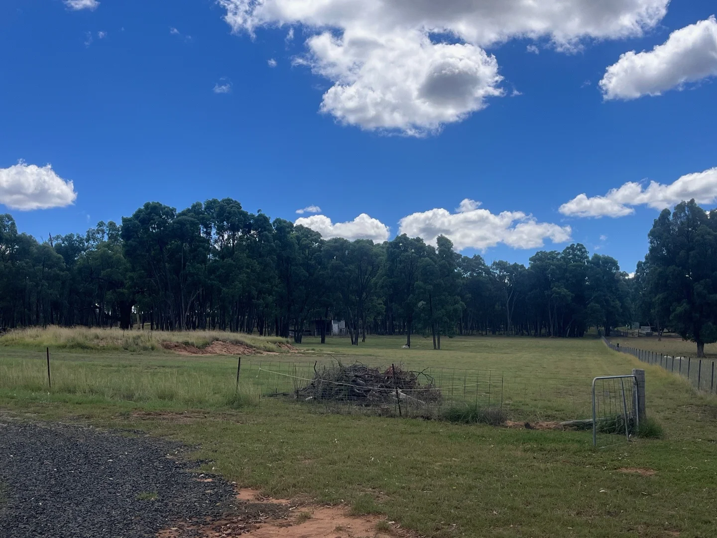 Additional image 28 of 122 Dows Lane, Coonabarabran NSW 2357