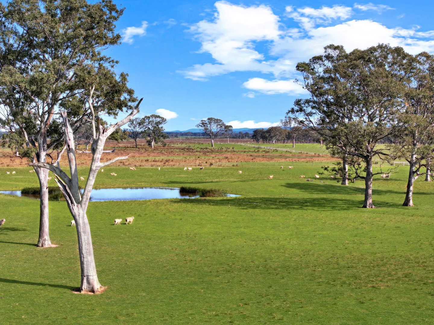 Additional image 3 of 1380 Princes Highway, Hillside VIC 3875