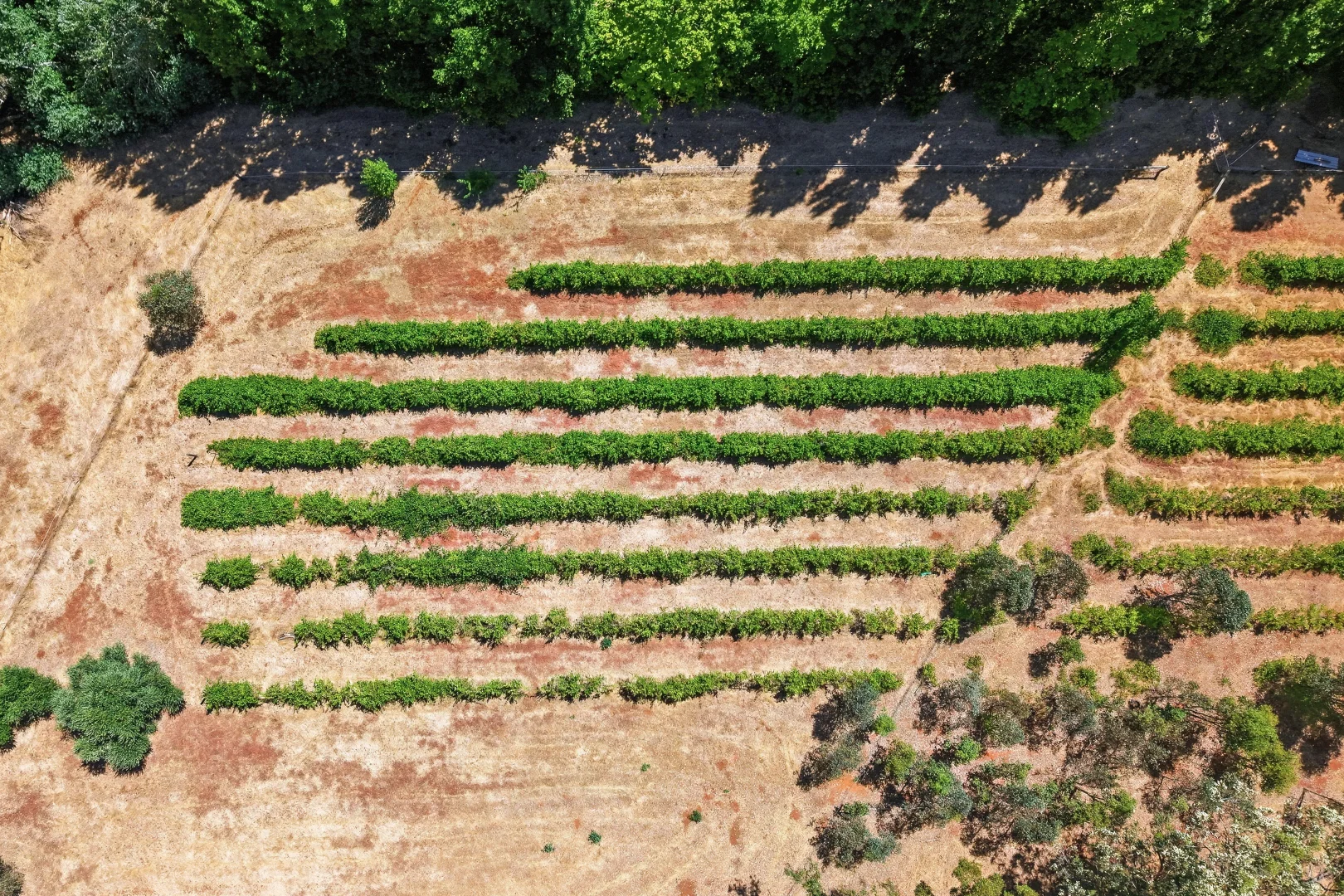 Additional image 14 of Lot 30 Windy Hollow Vale, Kangaroo Gully WA 6255