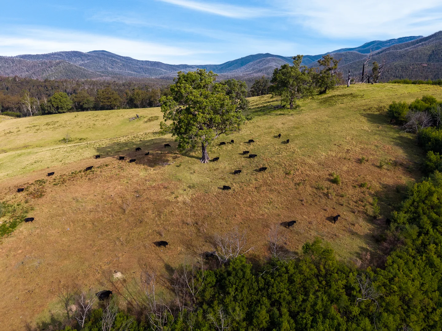 Additional image 21 of Lot 63 Watts Road, Cobargo NSW 2550