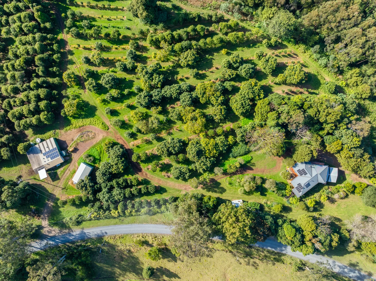 Additional image 3 of 480 Ponsfords Road, Comboyne NSW 2429